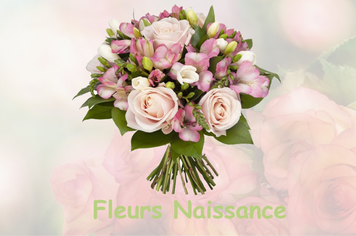fleurs naissance SAINT-PIERRE-LES-BOIS