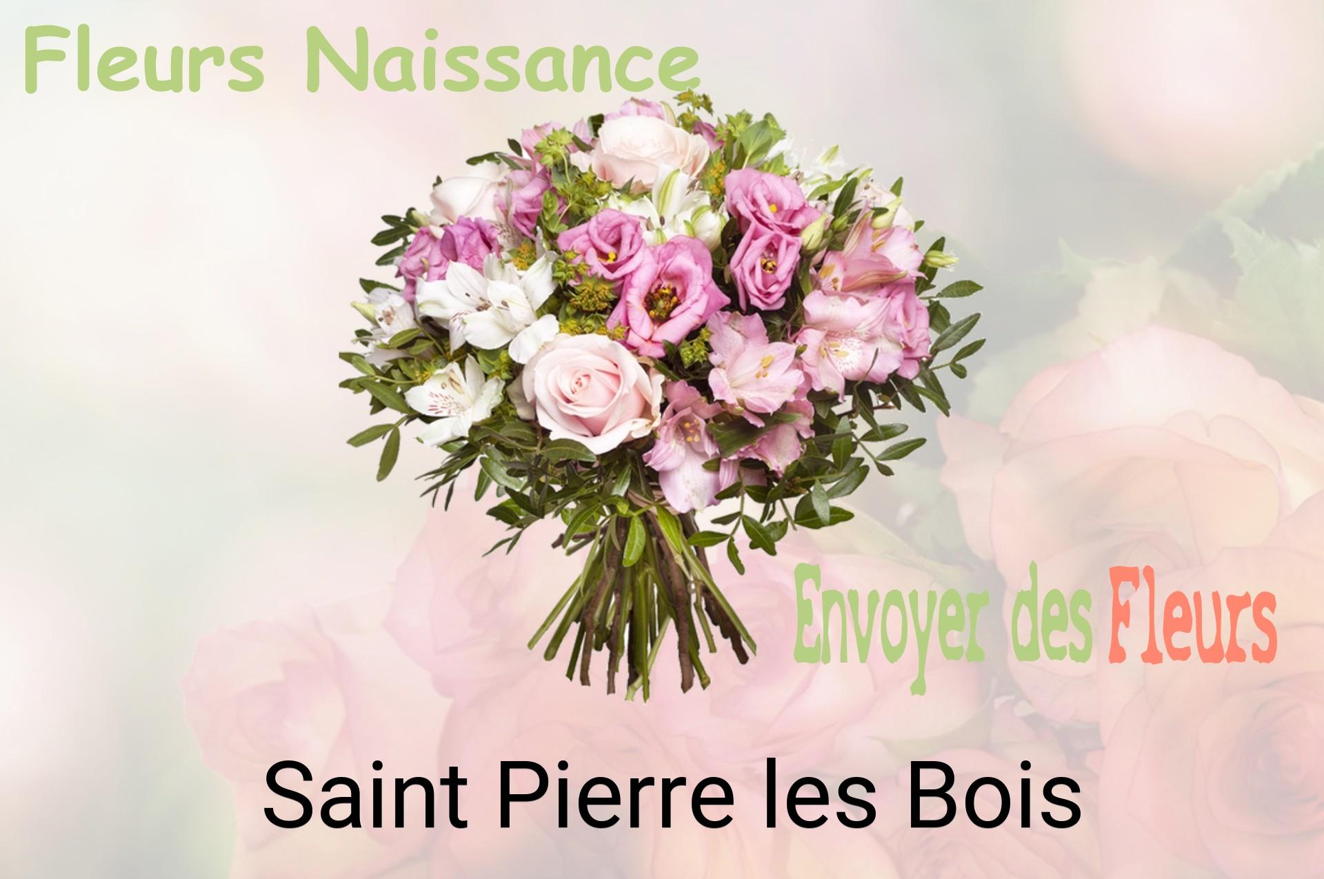 Bouquet de fleurs de naissance livré à Saint-Pierre-les-Bois
